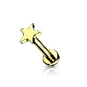 Piercing Labret Titane ASTM F136 Premium – Labret 53 Filetage Interne Stérile & Embout Etoile 4 mm 1,2 x 8 mm*