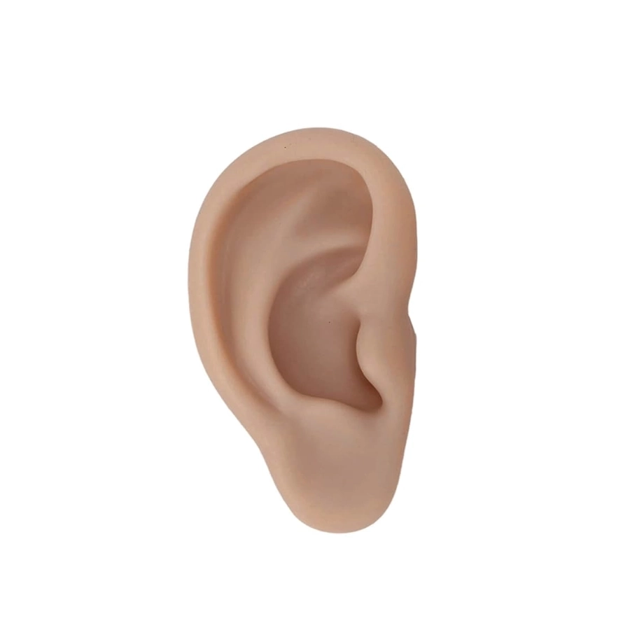 Entraînement Piercing - Oreille Silicone - Oreille seule pour l'entraînement au piercing*