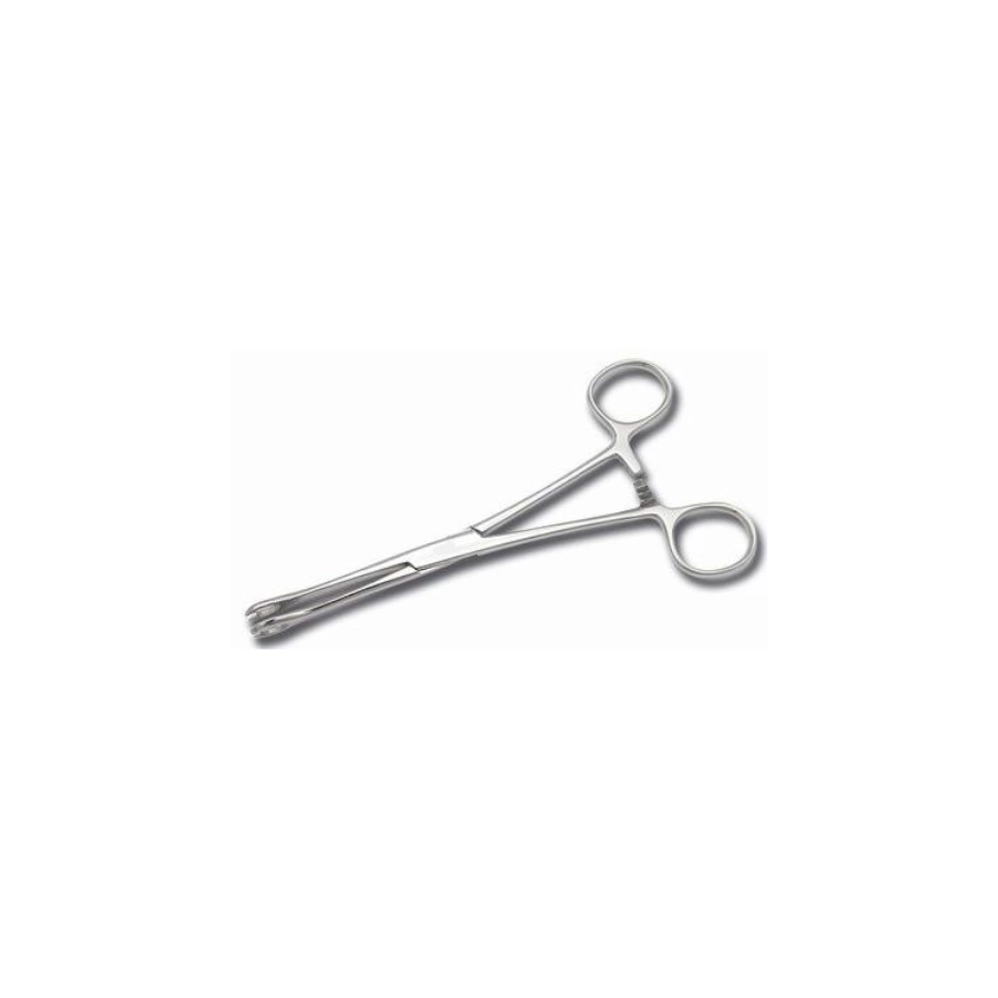 Pince Clamp Rond Petit - Pince en inox avec rond fermé