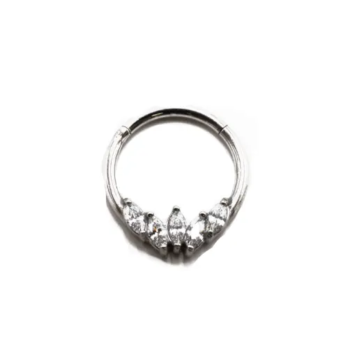 Piercing Anneau - Acier - Anneau clicker 151 avec fermeture à charnière 