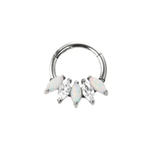 Piercing Anneau - Titane - Anneau clicker 302 avec fermeture à charnière