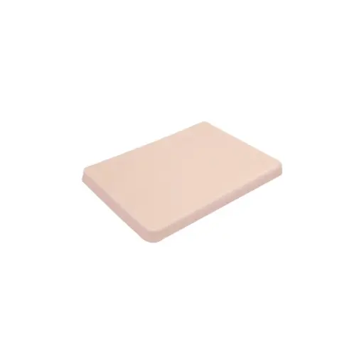 Peau Tatouage - ReelSkin - Reelpad Reelskin + 4 disques d'entraînement au tatouage médical ou maquillage permanent 
