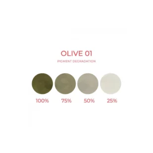 Artyst Corrector Pigment Olive 01 - Mélange pour le maquillage permanent pigment REACH 10ml