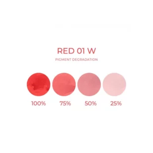 Artyst Lip Pigment Rouge 01 W - Mélange pour le maquillage permanent pigment REACH 10ml