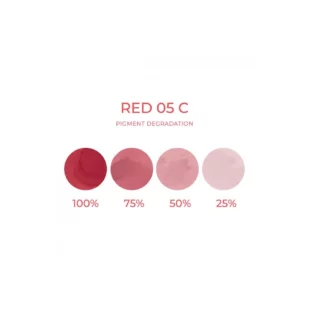 Artyst Lip Pigment Rouge 05 C - Mélange pour le maquillage permanent pigment REACH 10ml