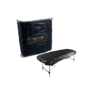 Bed Et Chair Cover - Sachet de 10 protections pour table et fauteuil tatouage élastique 210 x 90 x 20 cm